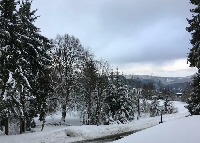 De Ruiter Apartamento Winterberg